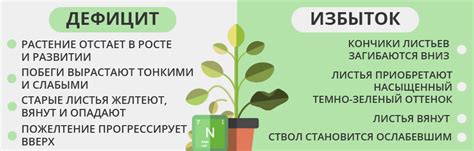 Недостаток питательных веществ: причина преждевременного увядания