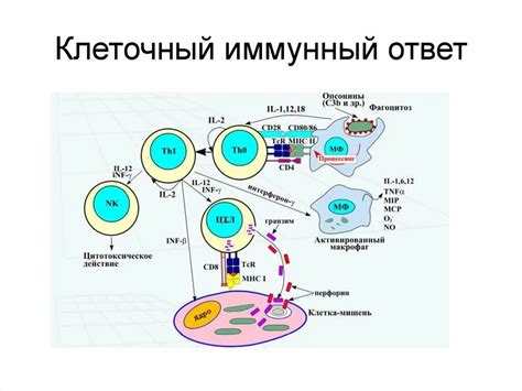 Недостаточная иммунная реакция