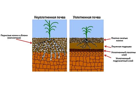 Нездоровая почва