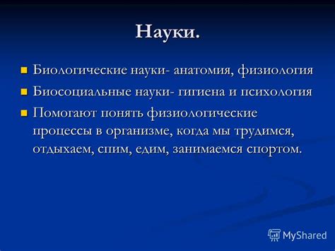 Неисчерпаемый источник знаний: как сны помогают понять биологические процессы в организме