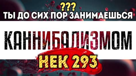 Нек 293: тайна истории