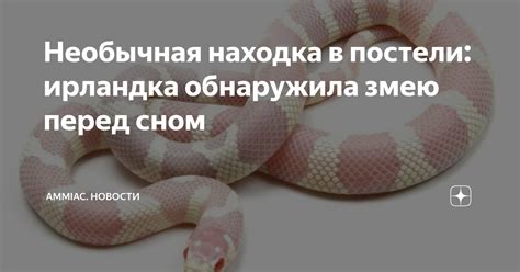 Необычная находка: иголка в постели