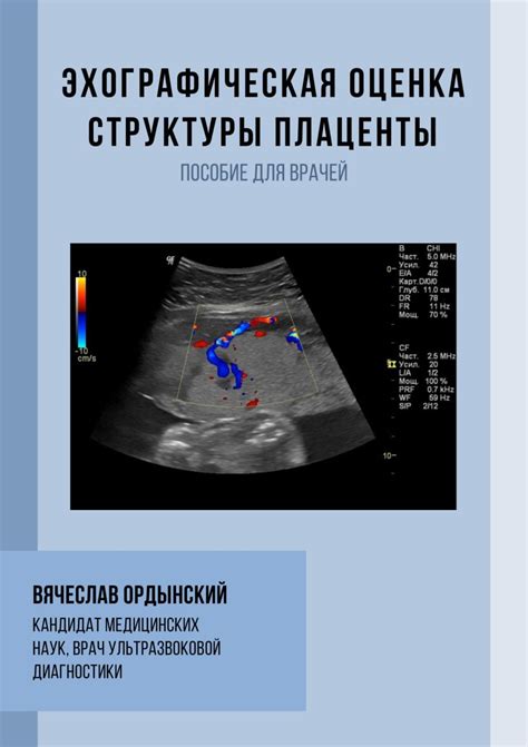 Неоднородность структуры плаценты