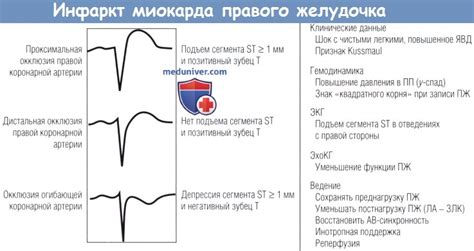 Неоднородность эхоструктуры