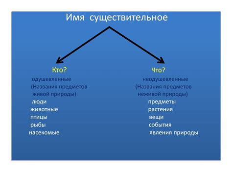 Неодушевленные предметы в литературе: феномен превращения