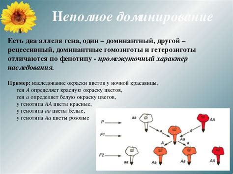 Неопластический генез: механизм возникновения