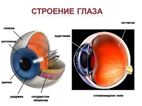 Неправильная работа зрительной системы