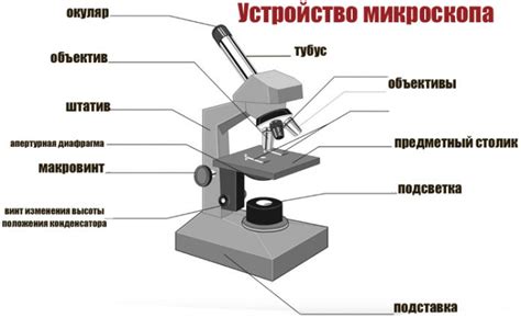 Неправильная фокусировка микроскопа