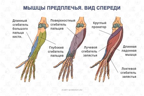 Нервозное движение рук