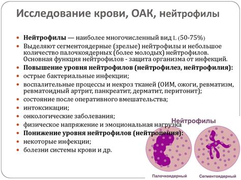 Нерегулярности в количестве нейтрофилов