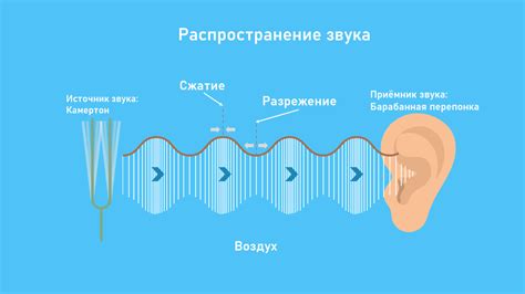 Нечеткая акустическая тень и ее особенности