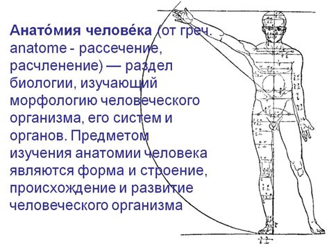 Неясные анатомические границы