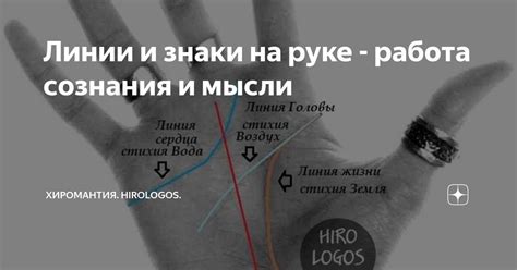 Не сдавай позиции: смысл и значимость сильной воли