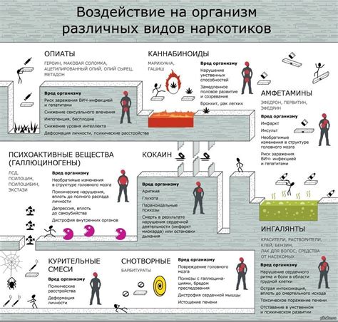 Никотинка: ключевые преимущества и положительное воздействие на организм