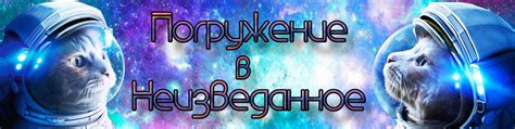 Новая жизнь: погружение в неизведанное