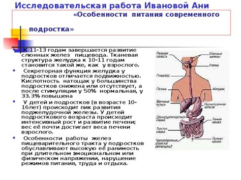 Нормальная структура пищевода