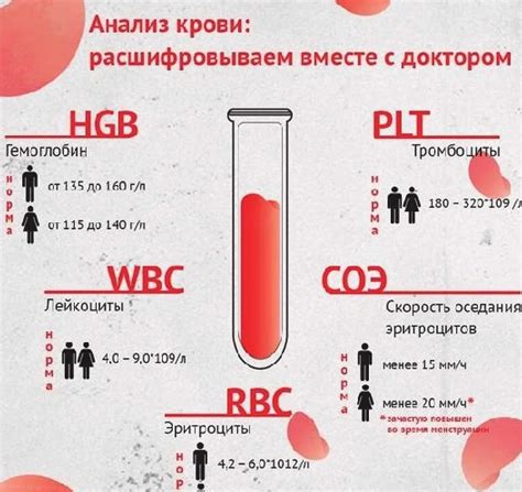 Нормальный уровень лейкоцитов в крови