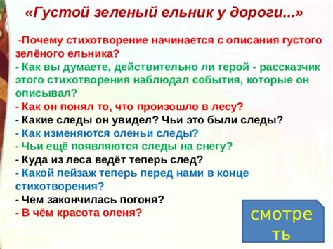 Нужен ли ельник?