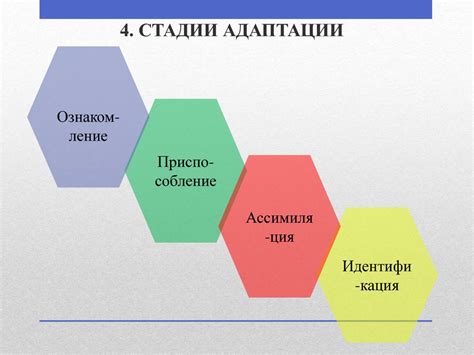 Нужность навыка адаптации в обществе