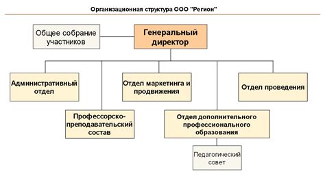 ООО: основные сведения