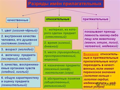 Области применения нарицательных прилагательных