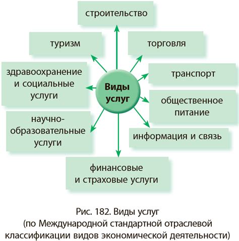 Область деятельности и виды услуг