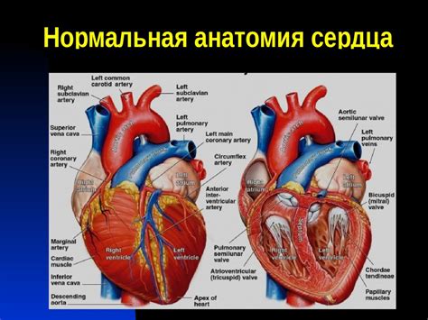 Обольщать свое сердце: основные моменты