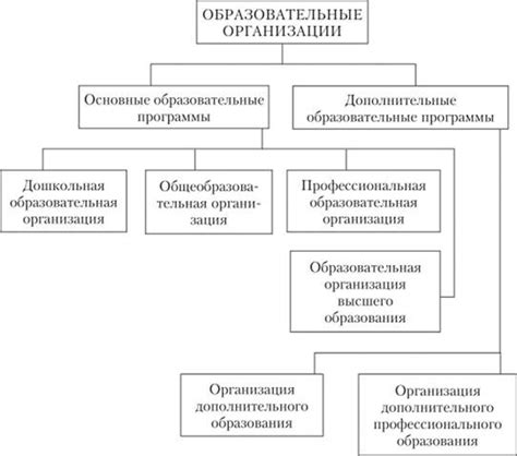 Образовательная организация: суть и значение