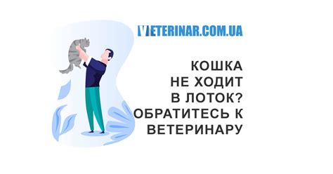 Обратитесь к ветеринару