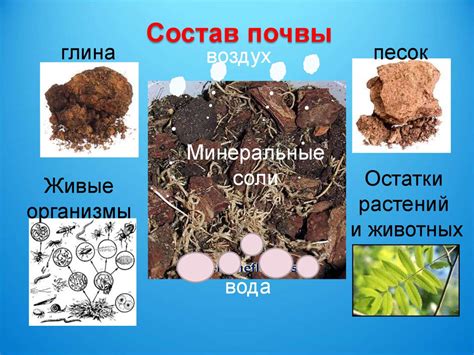 Обратите внимание на состав и свойства