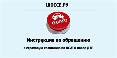 Обращение в страховую компанию: порядок и сроки