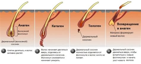 Обрезка волос как символ изменений и роста