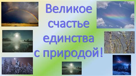 Обхатившись дубом - воплощение единства с природой