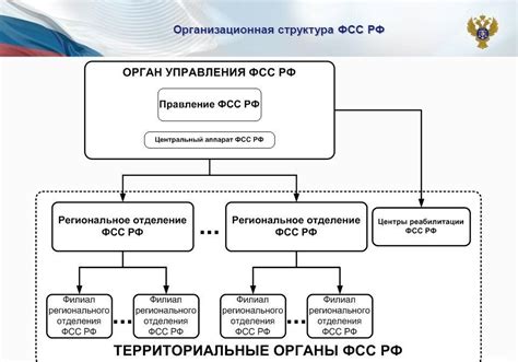 Общая информация о ФСС и ее роли в системе социального обеспечения