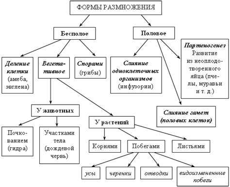 Общая суть и значение