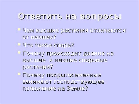 Объекты спора: что это такое и как их выявлять