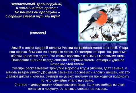 Объявление о предвещении радости и успеха в сновидениях о зимней птице