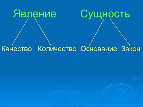 Обыденное явление: его сущность и важность