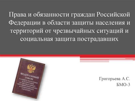 Обязанности в области закона и порядка