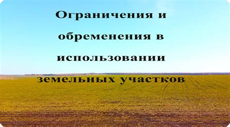 Обязанности и ограничения собственника приватизированного земельного участка