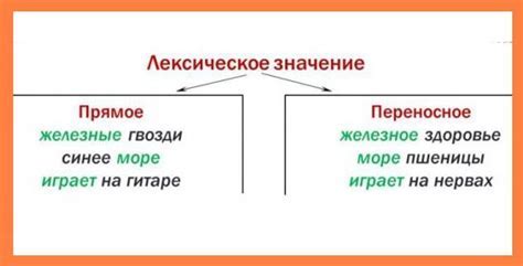 Овощ про человека: имеющиеся значения этого выражения