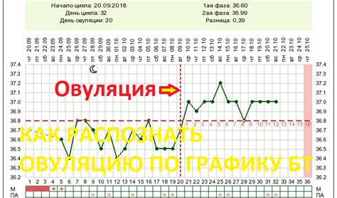 Овуляция и изменение базовой температуры