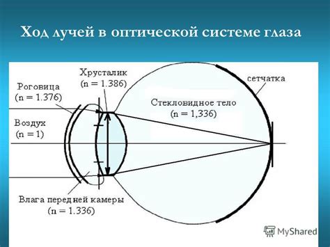 Ограниченное движение глаз и его значение