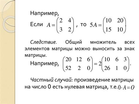 Однородные матрицы в линейной алгебре