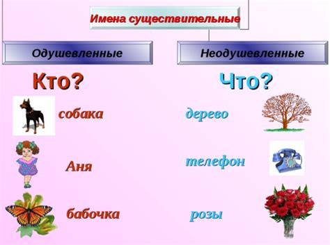 Одушевленные имена существительные: особенности и значение в русском языке