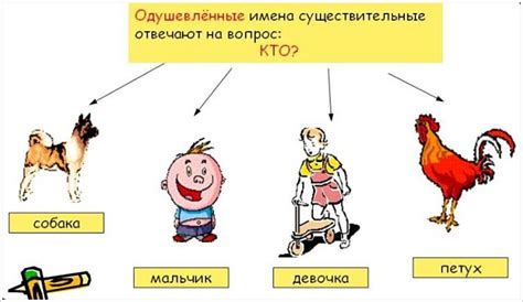 Одушевленный предмет: определение, примеры и особенности