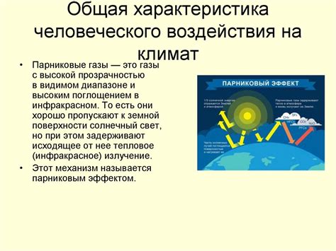 Оказываемое воздействие климата на организм человека