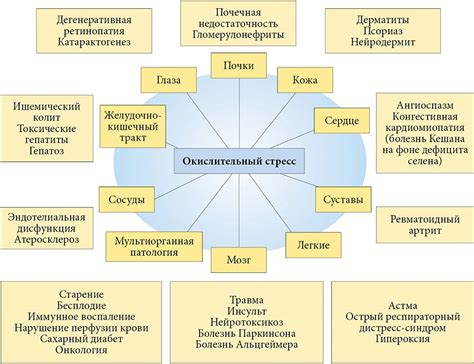 Окислительный стресс: определение и причины