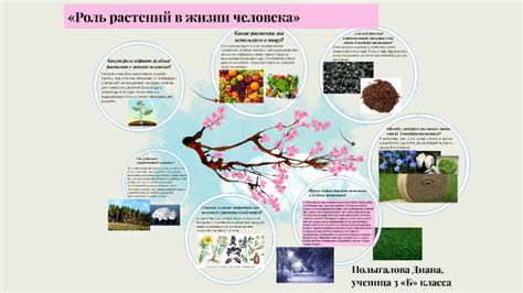 Окно плодородия: его суть и роль для растений