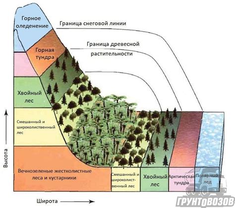 Окрестные местности: особенности и значение